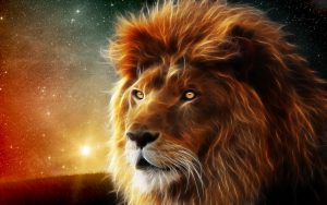 28-02-17-lion15861-