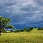 28-02-17-nature-stormbreak-landscape10629