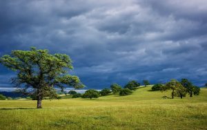 28-02-17-nature-stormbreak-landscape10629