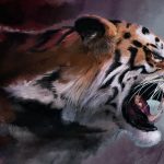 28-02-17-tiger-wallpapers948