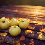 ---apples-leaves-autumn-evening-2152