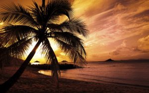 ---beach-sunset-background-13504