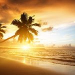 ---beach-sunset-wallpapers-2407