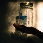 ---butterfly-blue-jar-13901