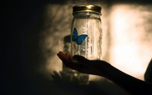 ---butterfly-blue-jar-13901