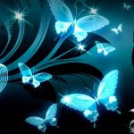 ---butterfly-wallpapers-832