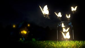 ---butterfly-wallpapers-833