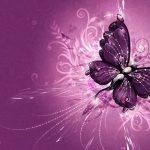 ---butterfly-wallpapers-841