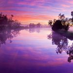 ---cool-purple-sunset-7978