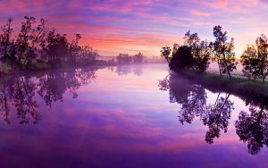 ---cool-purple-sunset-7978