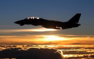 ---f-tomcat-sunset-8589