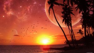 art wallpaper fantasy screen photo birds space