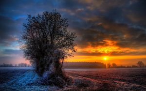 ---frosty-sunset-14983