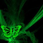 ---green-lights-butterfly-15157