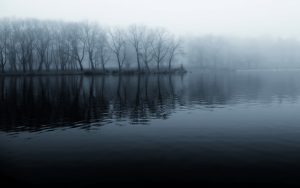 ---lake-mist-pictures-10050