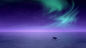 polar-bear-2560x1440-aurora-borealis-northern-lights-hd-4504