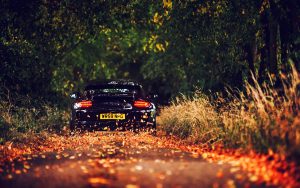 ---porsche-autumn-road-5263