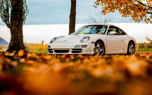---porsche--white-autumn-11308