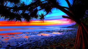 ---sunset-beach-wallpapers-1659