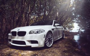 ---white-bmw-6110