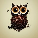 ---funny-coffee-owl-wallpaper-9137