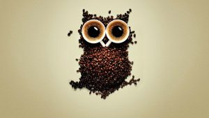 ---funny-coffee-owl-wallpaper-9137