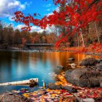 autumn-2560x1440-foliage-lake-forest-leaves-hd-4k-1729