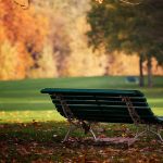 ---autumn-bench-meadow-6758