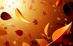 Wallpaper Market