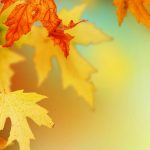 ---autumn-leaves-wallpaper_-6779