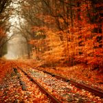 ---autumn-railway-2293