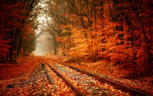 ---autumn-wallpapers-703