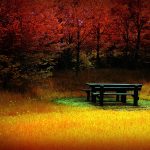 ---autumn-wallpapers-706