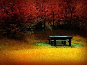 ---autumn-wallpapers-706