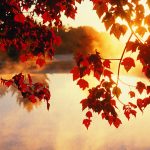 ---autumn-wallpapers-707