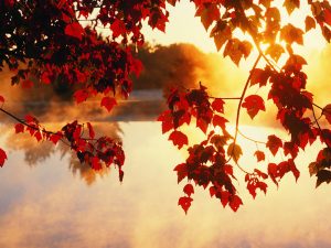 ---autumn-wallpapers-707