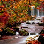 ---autumn-wallpapers-710