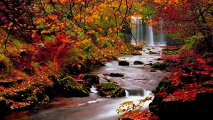 ---autumn-wallpapers-710