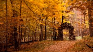 ---autumn-wallpapers-711