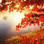 ---autumn-wallpapers-713