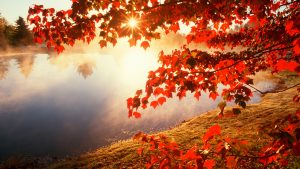 ---autumn-wallpapers-713