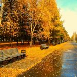 ---autumn-wallpapers-717