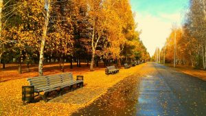 ---autumn-wallpapers-717