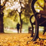 ---bench-trees-park-leaves-yellow-autumn-nature-2559