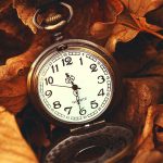 ---macro-watch-time-leaves-autumn-10361