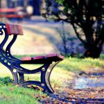 ---mood-bench-park-leaves-path-fall-autumn-10565