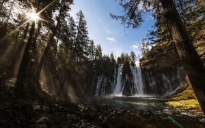 Wonderful Forest Waterfall Wide Desktop Background