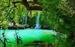 Forest Waterfall Wide Desktop Background
