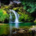 ---forest-waterfall-wallpaper--14873