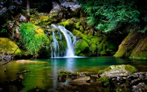 ---forest-waterfall-wallpaper--14873